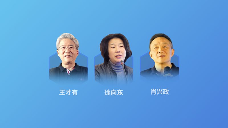 小标题：月子中心服务项目概述